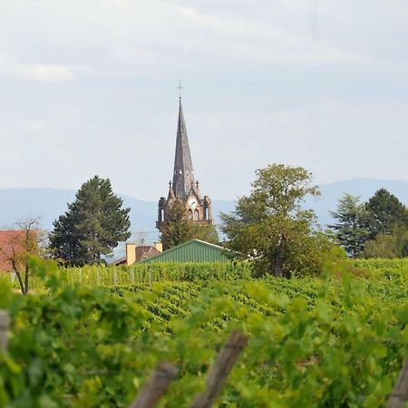 Vila Les Cerisiers Bernardswiller Exteriér fotografie